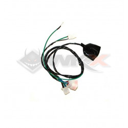 Faisceau électrique YCF BIGY