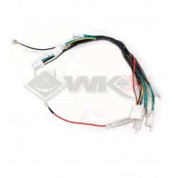 Faisceau électrique YCF 50A