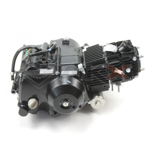 Piece Moteur LIFAN 110cc Automatique Démarreur électrique bas de Pit Bike et Dirt Bike