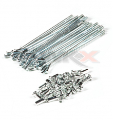Set 32 rayons 145mm YCF jante 14'