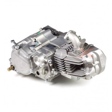 Moteur 150cc FSM DAYTONA ANIMA