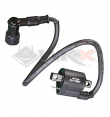 Bobine haute tension DAYTONA ANIMA