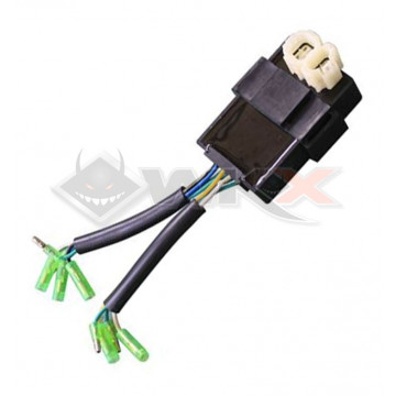 Boitier CDI DAYTONA ANIMA