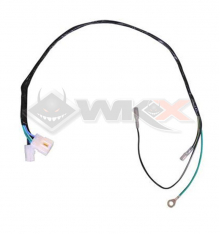 Faisceau électrique DAYTONA ANIMA