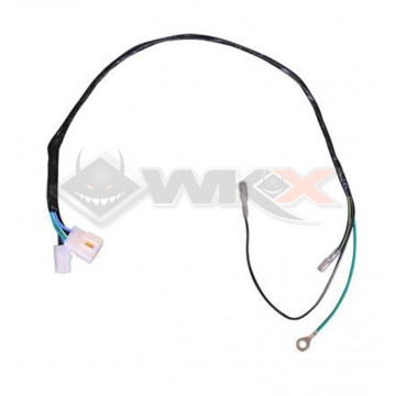 Faisceau électrique DAYTONA ANIMA