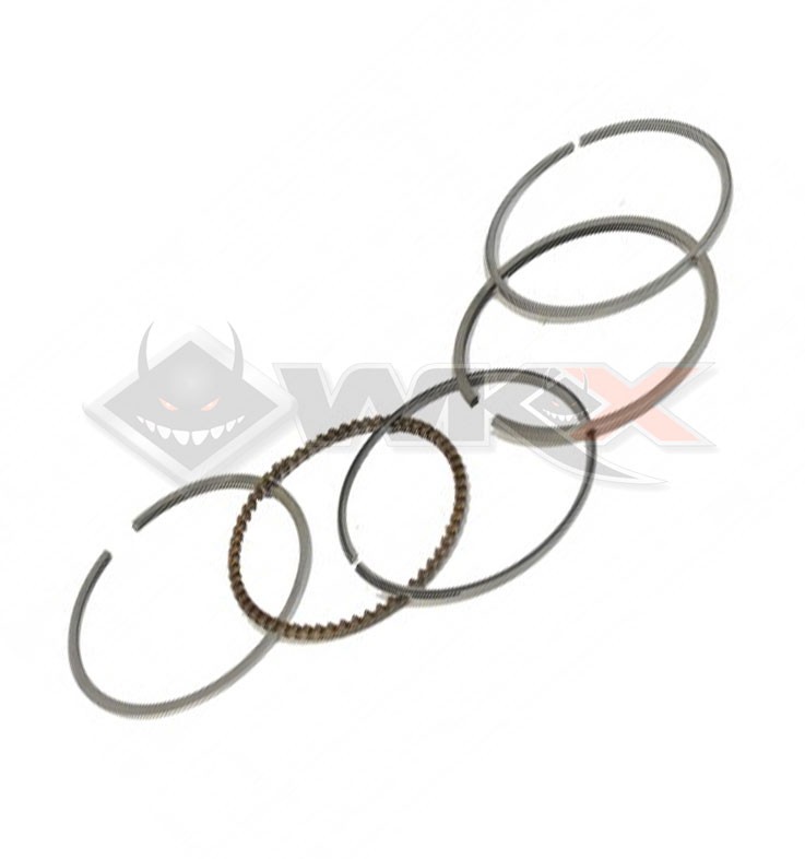 Segments 54mm DAYTONA