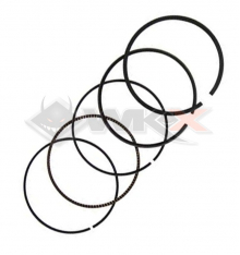 Segments DAYTONA ANIMA