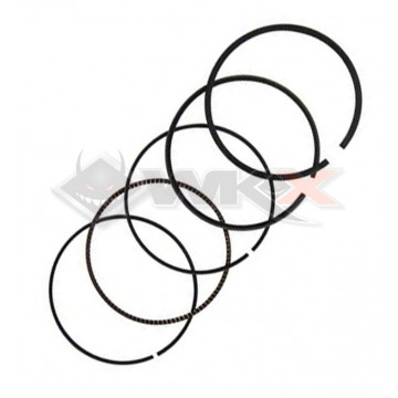 Segments DAYTONA ANIMA