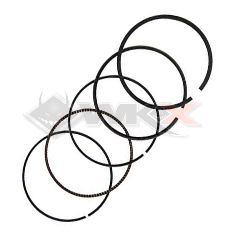 Segments DAYTONA ANIMA
