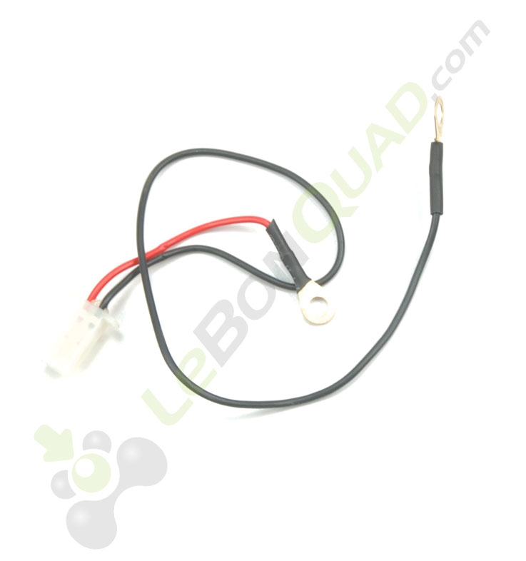 Faisceau connexion batterie / prise chargeur de pocket cross électrique