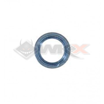 Rondelle pignon DAYTONA ANIMA