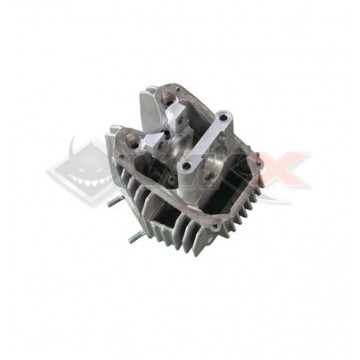 Culasse nue DAYTONA ANIMA