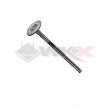 Soupape d'échappement DAYTONA ANIMA 21mm