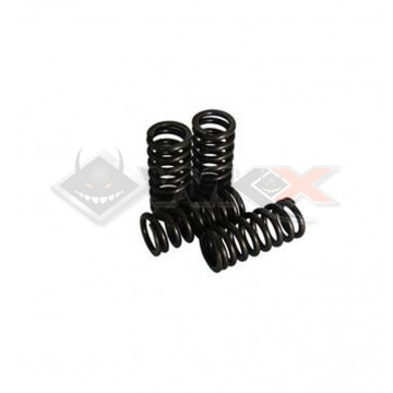 Valve ressort DAYTONA ANIMA