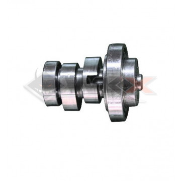 Arbre à came décompresseur DAYTONA ANIMA