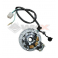 Piece Stator d'allumage DAYTONA ANIMA de Pit Bike et Dirt Bike