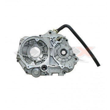 Carter moteur gauche DAYTONA ANIMA