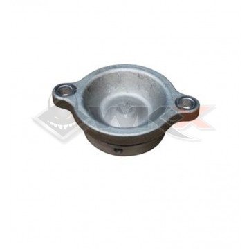 Carter filtre à huile DAYTONA ANIMA