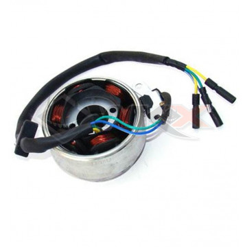 Stator/Rotor d'allumage YCF