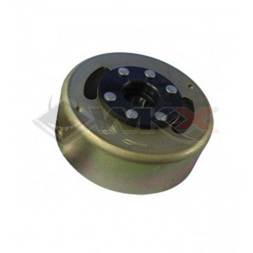 Rotor d'allumage YCF