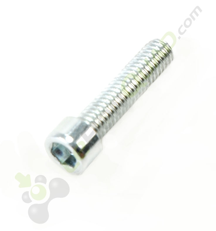 Vis CHC M6x25