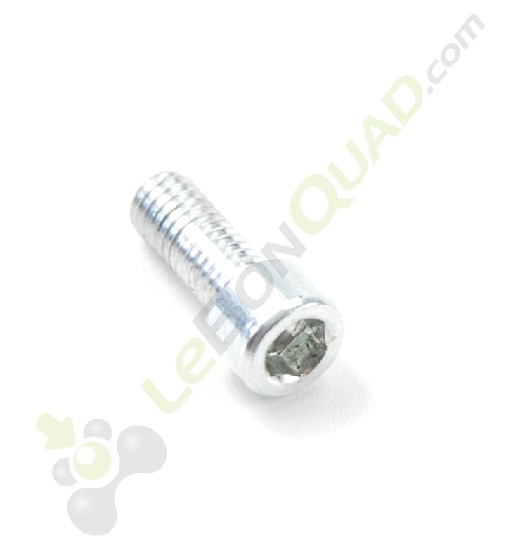 Vis M6x16 de Quad