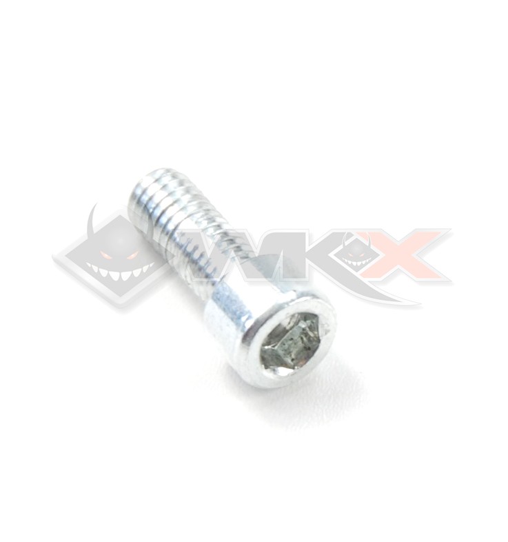Vis M6x16