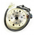 Allumage rotor + stator 140 LIFAN