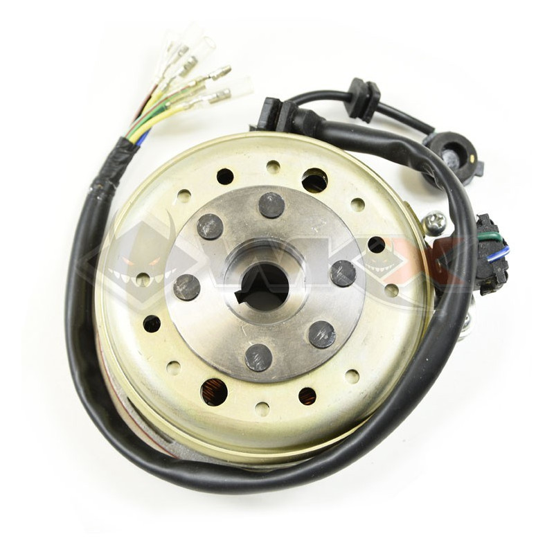 Allumage rotor + stator 140 LIFAN