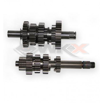 Arbre boite 5 vitesses primaire et secondaire DAYTONA ANIMA