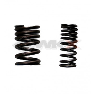 Ressorts soupapes YCF