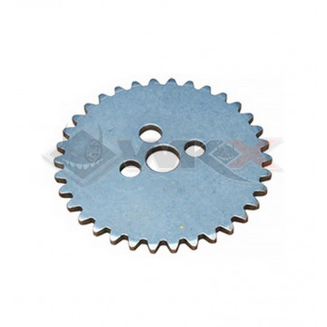 Poulie distribution DAYTONA ANIMA