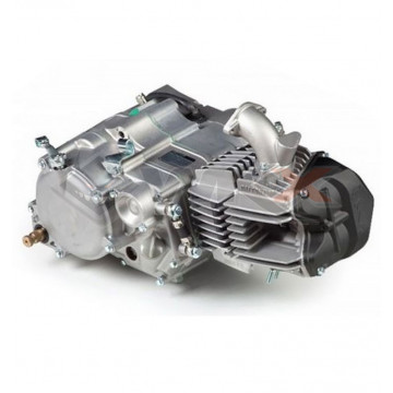 Moteur 190cc FDX DAYTONA ANIMA