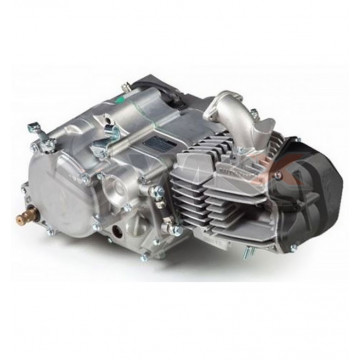 Moteur 190cc FDX DAYTONA ANIMA 5 vitesses