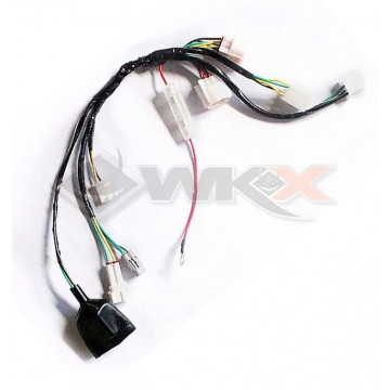 Faisceau électrique START F88SE