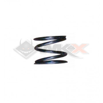 Ressort de filtre à huile DAYTONA ANIMA