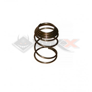 Ressort crépine d'huile DAYTONA ANIMA