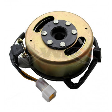 Allumage complet étanche YCF