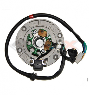 Piece Stator d'allumage FSM DAYTONA de Pit Bike et Dirt Bike