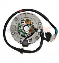 Piece Stator d'allumage FSM DAYTONA de Pit Bike et Dirt Bike