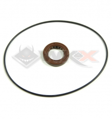 Kit joints stator d'allumage