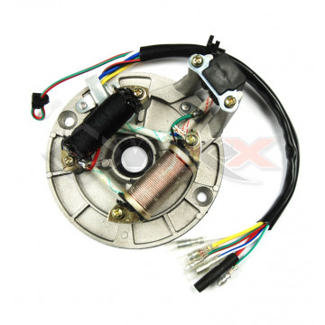 Stator d'allumage adaptable