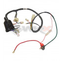 Faisceau électrique de motocross 250