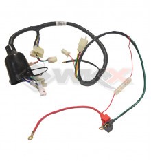 Faisceau électrique de motocross 250