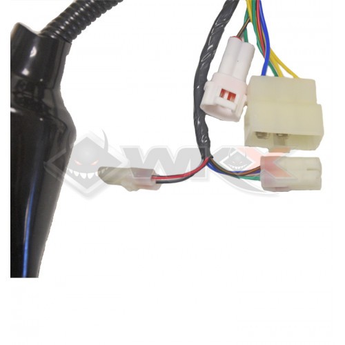 Faisceau électrique de motocross 250