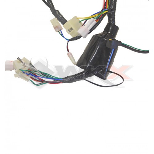 Faisceau électrique de motocross 250