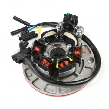 Stator d'allumage 150 YX