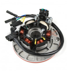 Piece Stator d'allumage 150 YX de Pit Bike et Dirt Bike