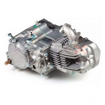 Moteur 190cc FSM DAYTONA ANIMA 5 vitesses