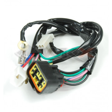 Faisceau électrique 150 LIFAN